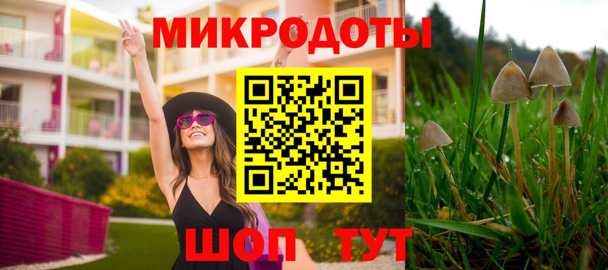 Керчь  Галлюциногенные грибы ЛСД  Вход с VPN  Галлюциногенные грибы Psilocybe 